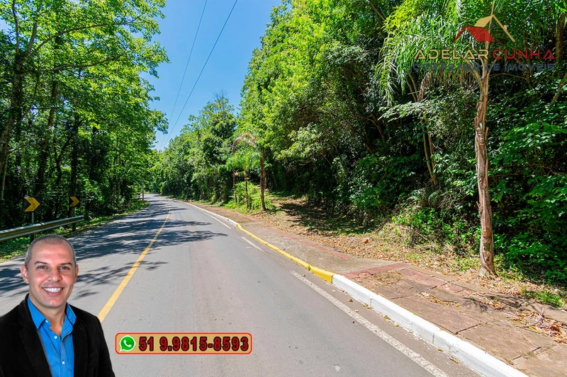 Chácara de 3.9 hectares à VENDA na Rota das Nuvens em Serra Grande: 31ª foto da galeria de imagens do imóvel