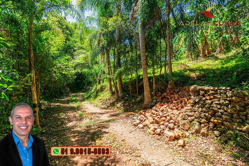 Chácara de 3.9 hectares à VENDA na Rota das Nuvens em Serra Grande: 3ª foto da galeria de imagens do imóvel