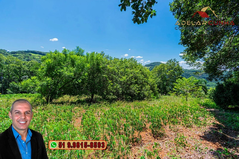 Chácara de 3.9 hectares à VENDA na Rota das Nuvens em Serra Grande: 15ª foto da galeria de imagens do imóvel