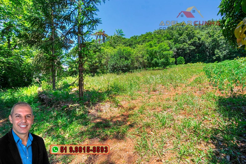 Chácara de 3.9 hectares à VENDA na Rota das Nuvens em Serra Grande: 11ª foto da galeria de imagens do imóvel
