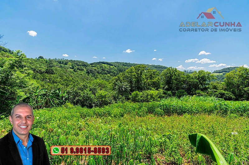 Chácara de 3.9 hectares à VENDA na Rota das Nuvens em Serra Grande: 23ª foto da galeria de imagens do imóvel