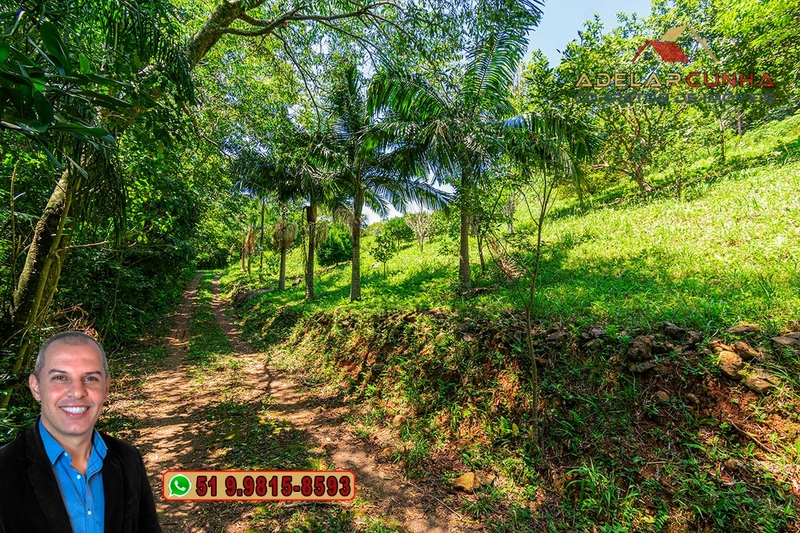 Chácara de 3.9 hectares à VENDA na Rota das Nuvens em Serra Grande: 5ª foto da galeria de imagens do imóvel