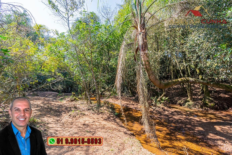 Sítio de 9.6 hectares à Venda em Sapiranga - RS: 7ª foto da galeria de imagens do imóvel