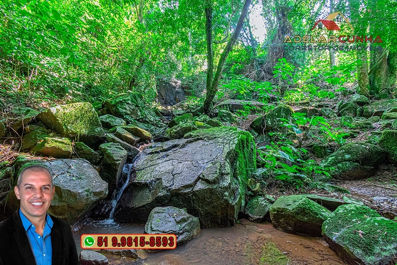 Chácara com Casa à Venda em Igrejinha – RS : 96ª foto da galeria de imagens do imóvel