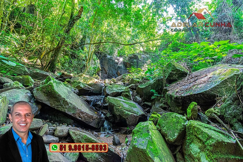 Chácara com Casa à Venda em Igrejinha – RS : 97ª foto da galeria de imagens do imóvel