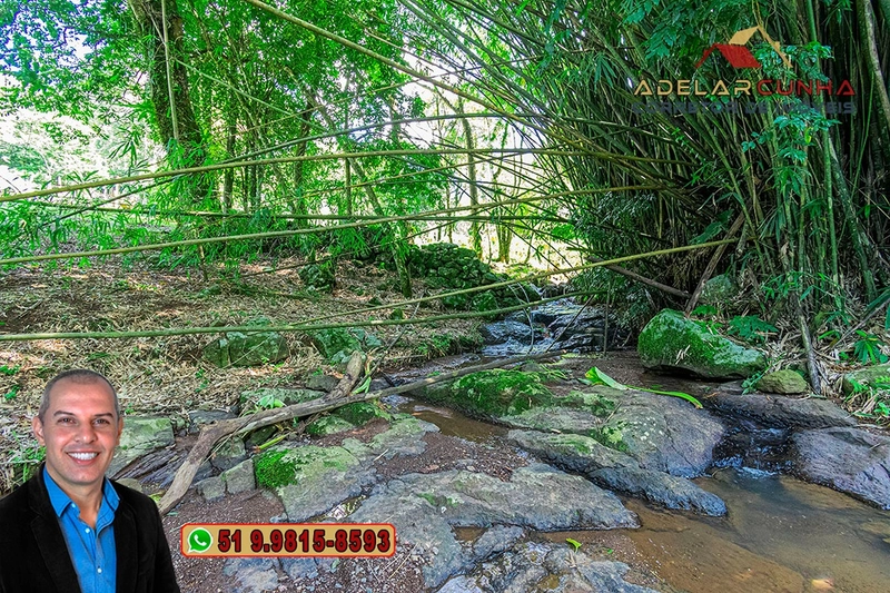 Chácara com Casa à Venda em Igrejinha – RS : 61ª foto da galeria de imagens do imóvel