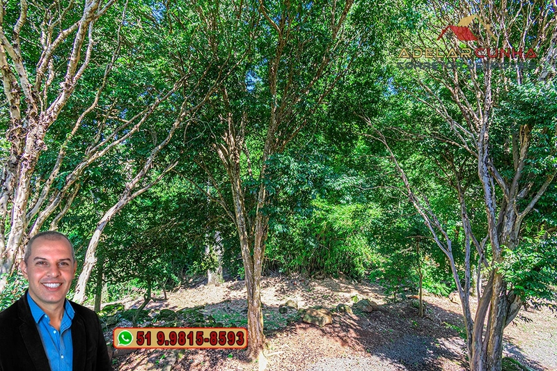 Chácara com Casa à Venda em Igrejinha – RS : 29ª foto da galeria de imagens do imóvel