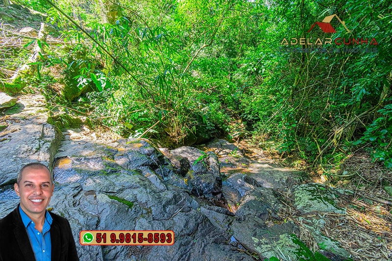 Chácara com Casa à Venda em Igrejinha – RS : 62ª foto da galeria de imagens do imóvel