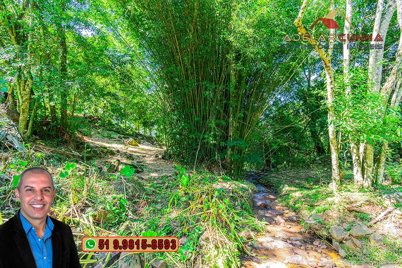 Chácara com Casa à Venda em Igrejinha – RS : 52ª foto da galeria de imagens do imóvel