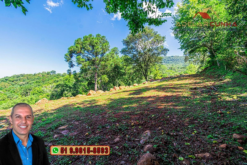 Chácara com Casa à Venda em Igrejinha – RS : 76ª foto da galeria de imagens do imóvel
