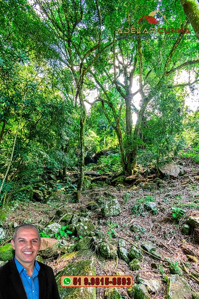 Chácara com Casa à Venda em Igrejinha – RS : 93ª foto da galeria de imagens do imóvel