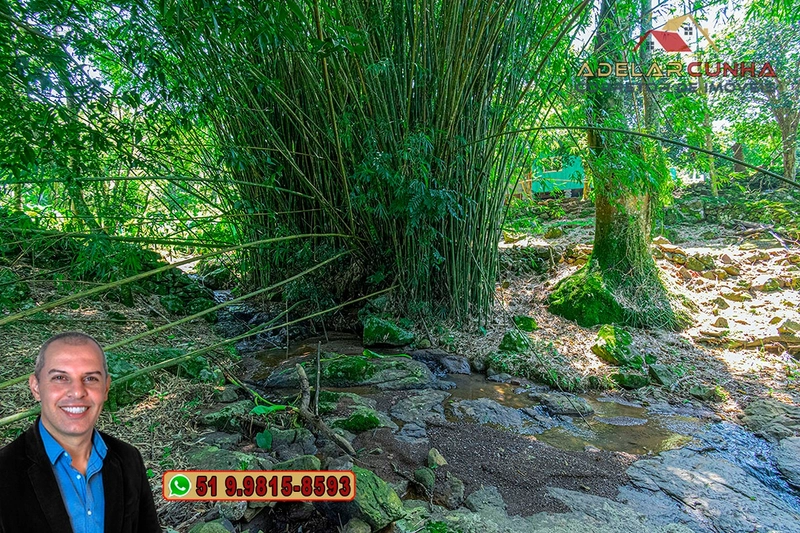 Chácara com Casa à Venda em Igrejinha – RS : 60ª foto da galeria de imagens do imóvel