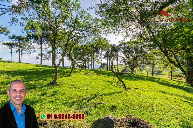 Sítio de 18 hectares à Venda em Igrejinha - RS: 12ª foto da galeria de imagens do imóvel