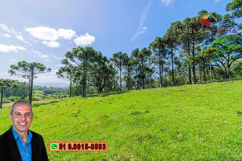 Sítio de 18 hectares à Venda em Igrejinha - RS: 2ª foto da galeria de imagens do imóvel