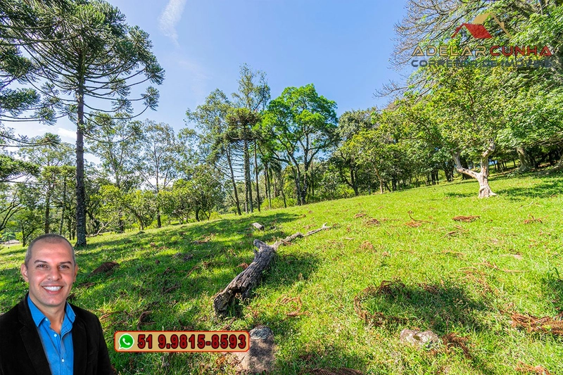 Sítio de 18 hectares à Venda em Igrejinha - RS: 3ª foto da galeria de imagens do imóvel