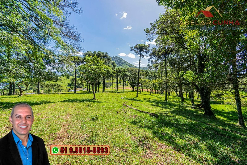 Sítio de 18 hectares à Venda em Igrejinha - RS: 15ª foto da galeria de imagens do imóvel