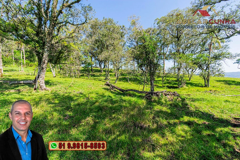 Sítio de 18 hectares à Venda em Igrejinha - RS: 4ª foto da galeria de imagens do imóvel