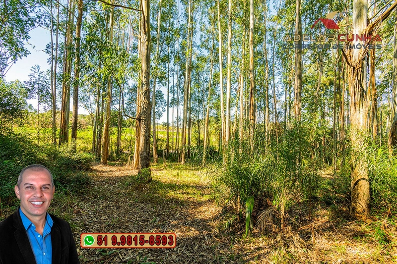 Chácara de 2 hectares à VENDA em Araricá: 16ª foto da galeria de imagens do imóvel
