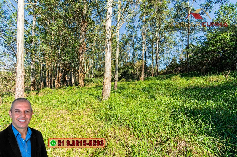 Chácara de 2 hectares à VENDA em Araricá: 18ª foto da galeria de imagens do imóvel