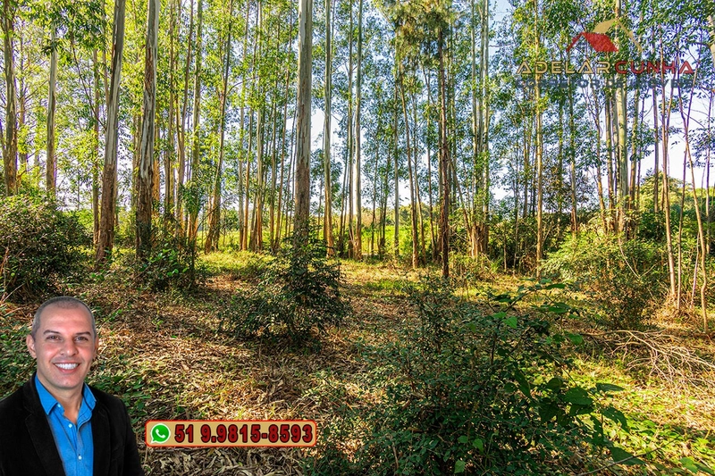 Chácara de 2 hectares à VENDA em Araricá: 15ª foto da galeria de imagens do imóvel