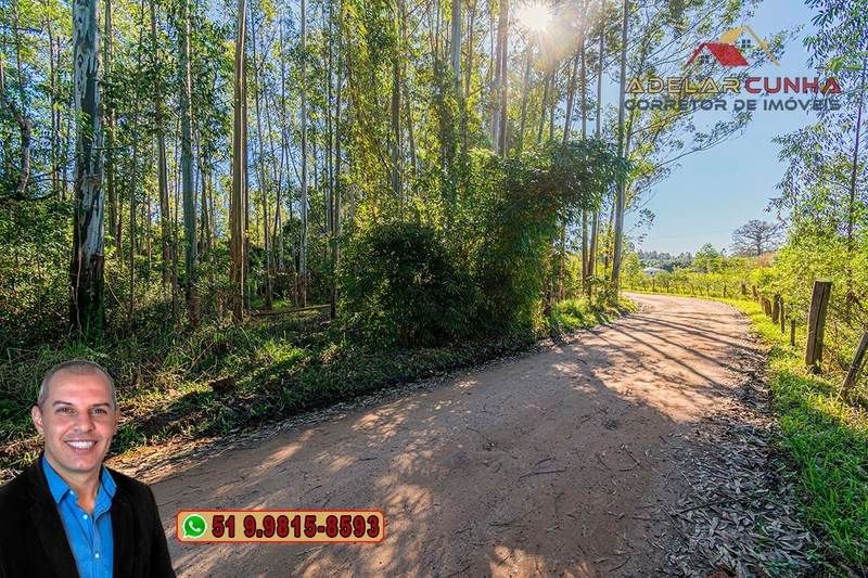 Chácara de 2 hectares à VENDA em Araricá: 6ª foto da galeria de imagens do imóvel