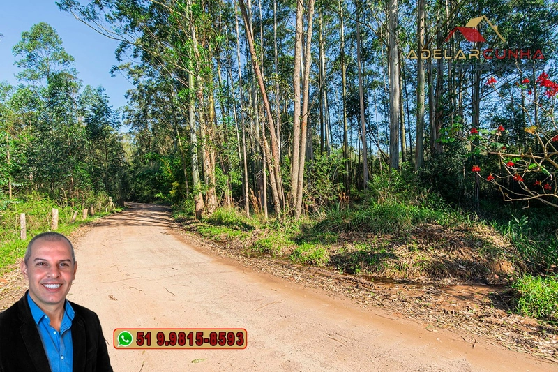 Chácara de 2 hectares à VENDA em Araricá: 4ª foto da galeria de imagens do imóvel