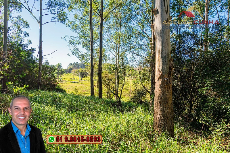 Chácara de 2 hectares à VENDA em Araricá: 11ª foto da galeria de imagens do imóvel