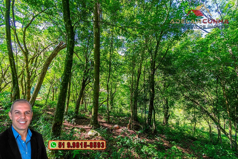 Chácara com Cabana de Luxo à VENDA na Serra Gaúcha!: 66ª foto da galeria de imagens do imóvel