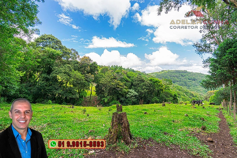 Chácara de 3.8 hectares à VENDA em São Francisco de Paula – RS: 92ª foto da galeria de imagens do imóvel