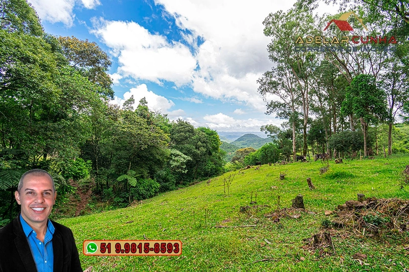 Chácara de 3.8 hectares à VENDA em São Francisco de Paula – RS: 87ª foto da galeria de imagens do imóvel