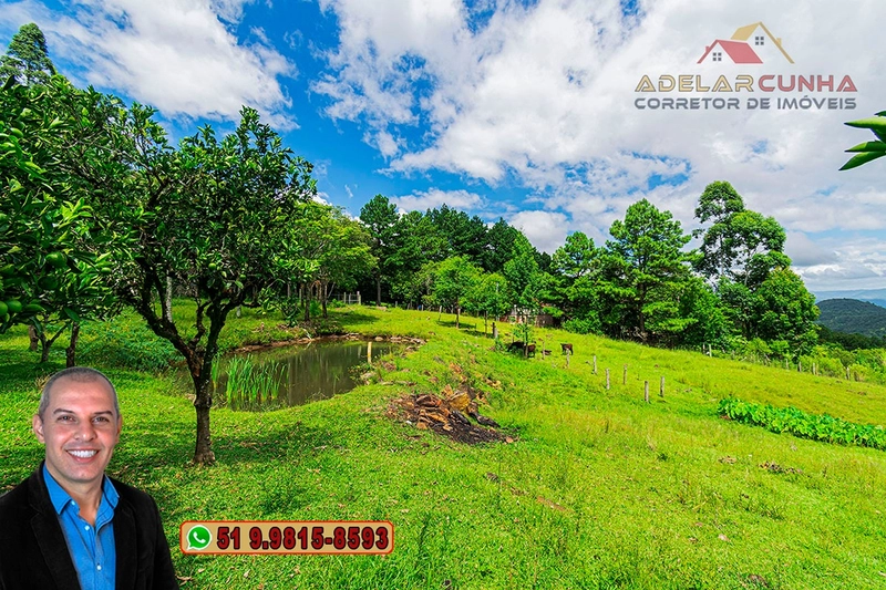 Chácara de 3.8 hectares à VENDA em São Francisco de Paula – RS: 69ª foto da galeria de imagens do imóvel