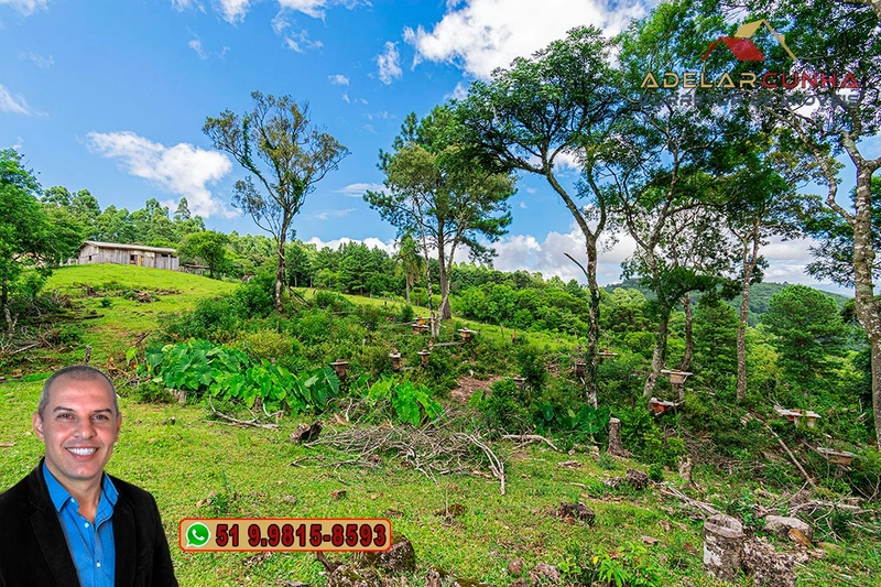 Chácara de 3.8 hectares à VENDA em São Francisco de Paula – RS: 79ª foto da galeria de imagens do imóvel