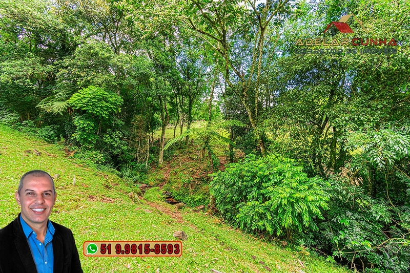 Chácara de 3.8 hectares à VENDA em São Francisco de Paula – RS: 86ª foto da galeria de imagens do imóvel