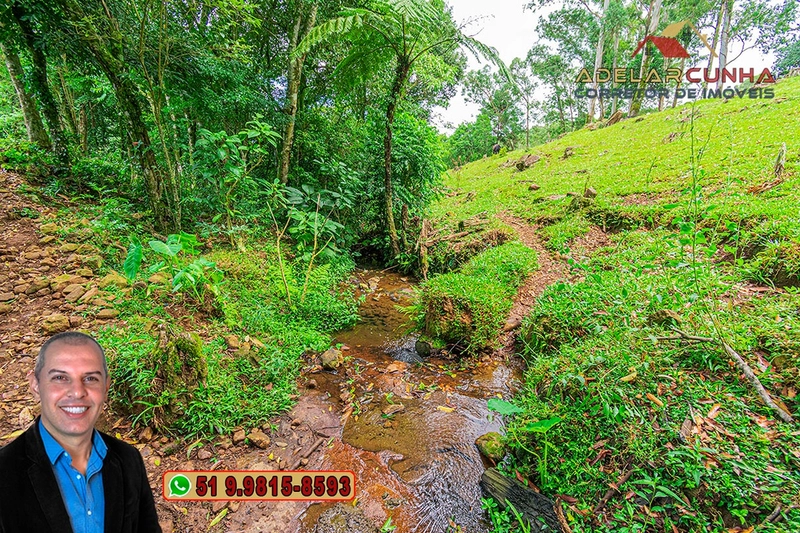 Chácara de 3.8 hectares à VENDA em São Francisco de Paula – RS: 85ª foto da galeria de imagens do imóvel