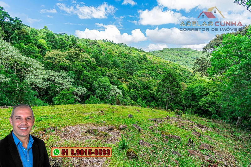 Chácara de 3.8 hectares à VENDA em São Francisco de Paula – RS: 90ª foto da galeria de imagens do imóvel