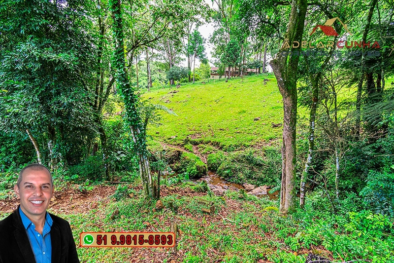 Chácara de 3.8 hectares à VENDA em São Francisco de Paula – RS: 83ª foto da galeria de imagens do imóvel