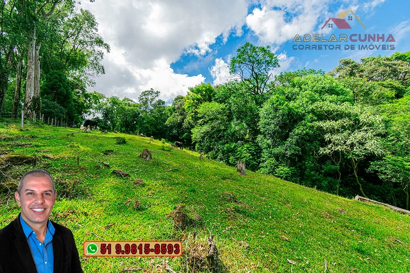 Chácara de 3.8 hectares à VENDA em São Francisco de Paula – RS: 91ª foto da galeria de imagens do imóvel