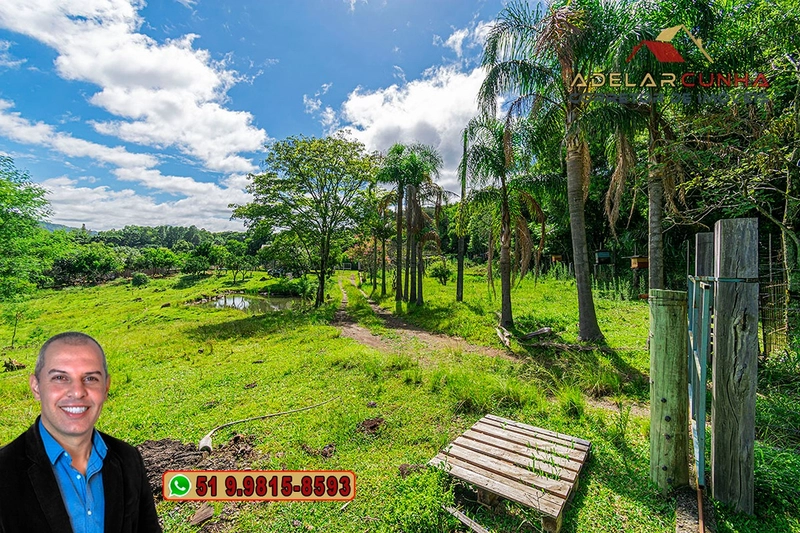 Chácara de 3.8 hectares à VENDA em São Francisco de Paula – RS: 4ª foto da galeria de imagens do imóvel