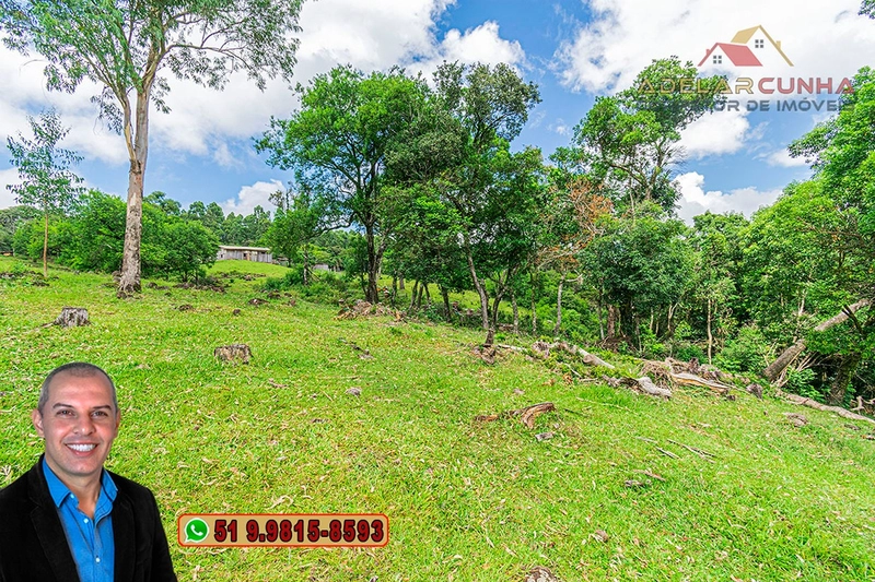 Chácara de 3.8 hectares à VENDA em São Francisco de Paula – RS: 81ª foto da galeria de imagens do imóvel