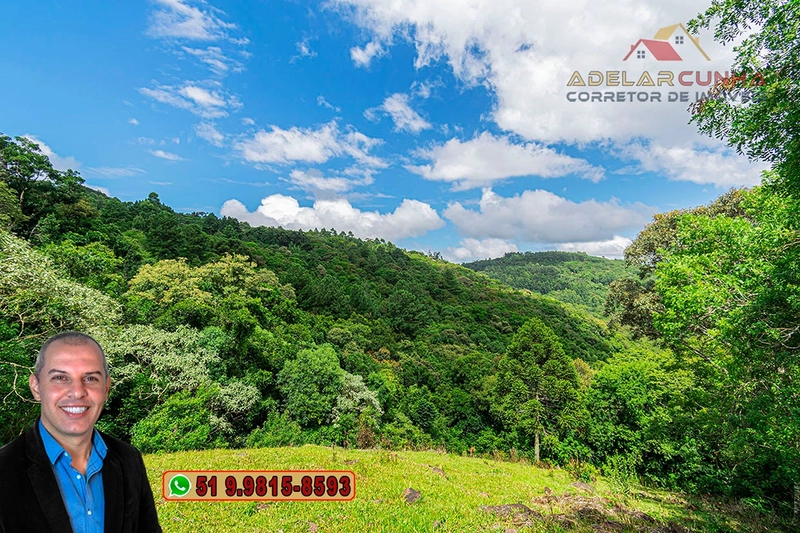 Chácara de 3.8 hectares à VENDA em São Francisco de Paula – RS: 89ª foto da galeria de imagens do imóvel