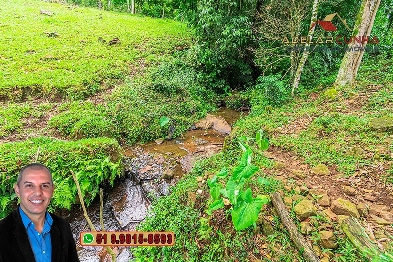Chácara de 3.8 hectares à VENDA em São Francisco de Paula – RS: 84ª foto da galeria de imagens do imóvel