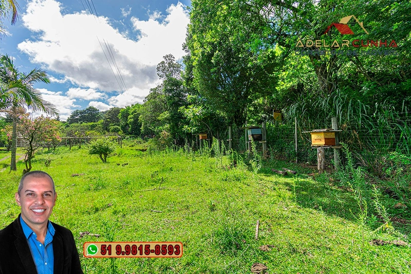 Chácara de 3.8 hectares à VENDA em São Francisco de Paula – RS: 6ª foto da galeria de imagens do imóvel
