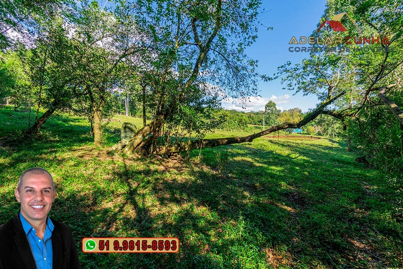 Chácara de 2.3 hectares à VENDA em Taquara - RS: 14ª foto da galeria de imagens do imóvel