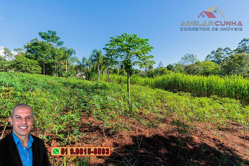 Chácara de 2.3 hectares à VENDA em Taquara - RS: 42ª foto da galeria de imagens do imóvel