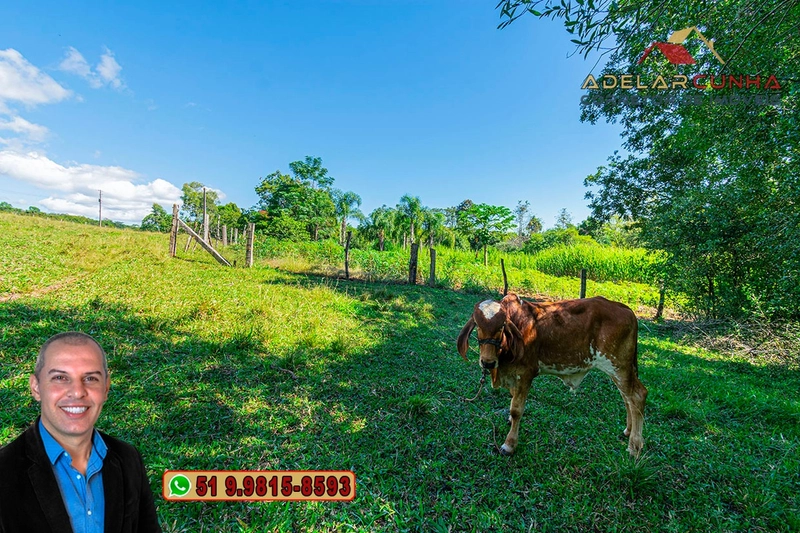 Chácara de 2.3 hectares à VENDA em Taquara - RS: 43ª foto da galeria de imagens do imóvel