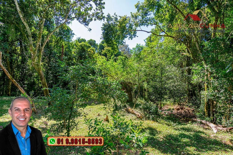 Chácara de 2.3 hectares à VENDA em Taquara - RS: 51ª foto da galeria de imagens do imóvel