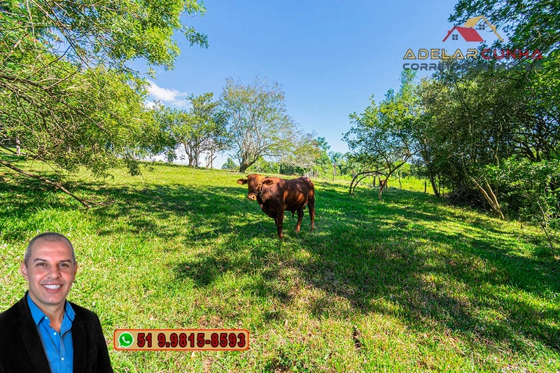 Chácara de 2.3 hectares à VENDA em Taquara - RS: 44ª foto da galeria de imagens do imóvel