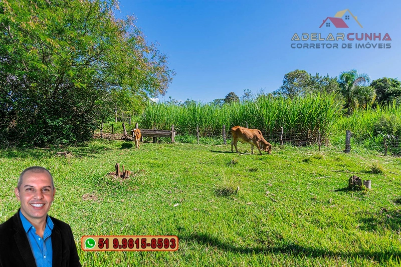 Chácara de 2.3 hectares à VENDA em Taquara - RS: 45ª foto da galeria de imagens do imóvel