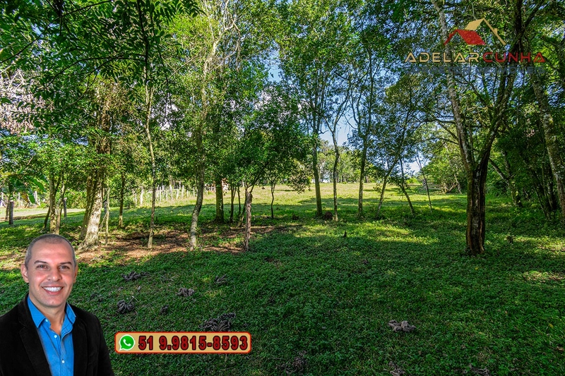 Chácara de 2.3 hectares à VENDA em Taquara - RS: 53ª foto da galeria de imagens do imóvel