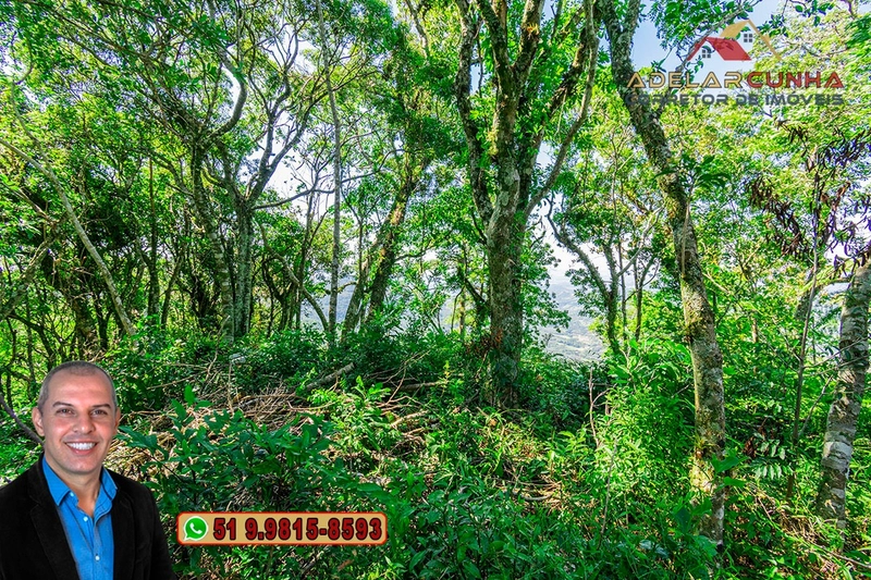 Chácara de 2.5 hectares à VENDA na Rota das Nuvens em Serra Grande: 20ª foto da galeria de imagens do imóvel